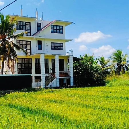 Freedom Of Green Rice View Anuradhapura Εξωτερικό φωτογραφία
