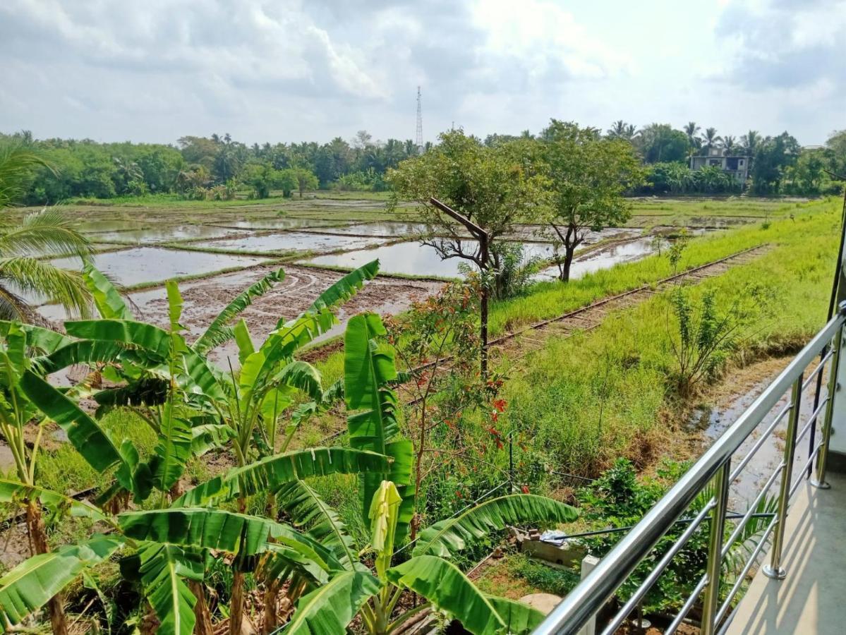 Freedom Of Green Rice View Anuradhapura Εξωτερικό φωτογραφία