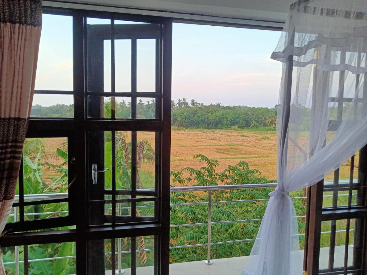 Freedom Of Green Rice View Anuradhapura Εξωτερικό φωτογραφία