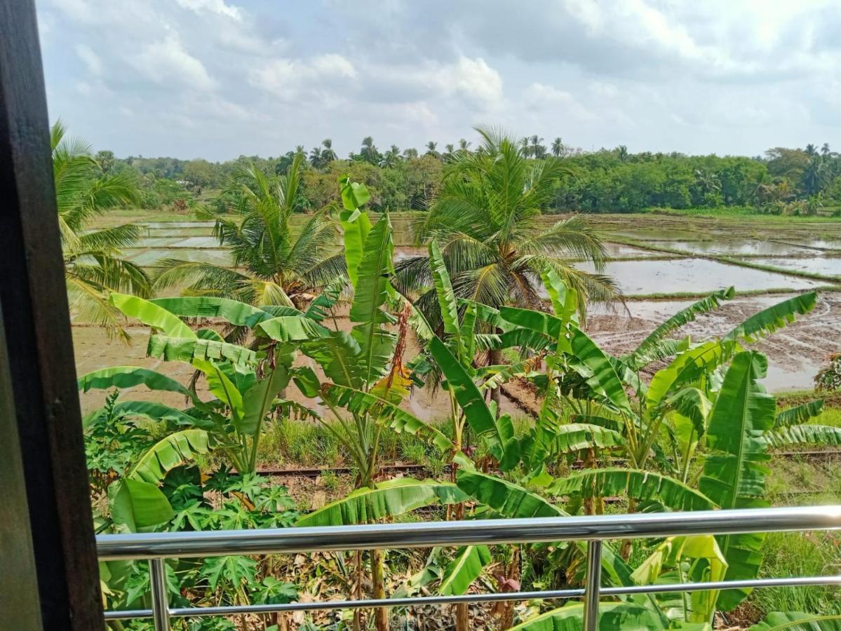 Freedom Of Green Rice View Anuradhapura Εξωτερικό φωτογραφία