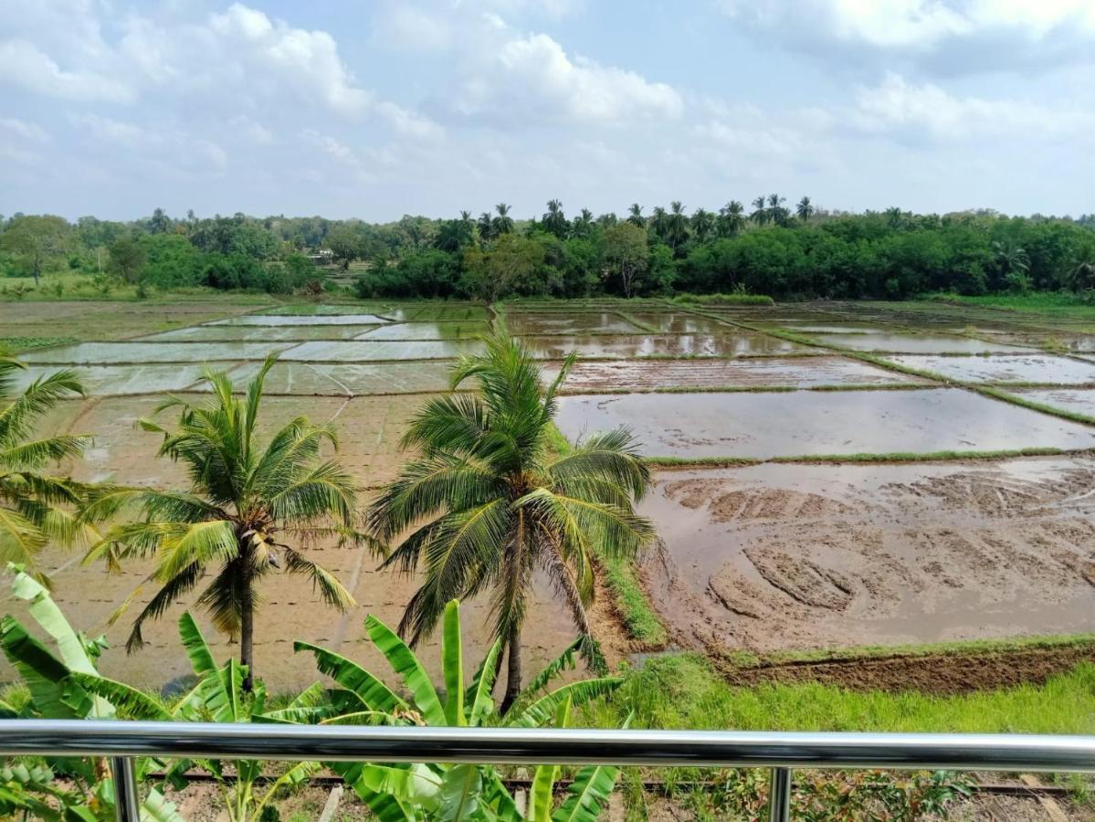 Freedom Of Green Rice View Anuradhapura Εξωτερικό φωτογραφία