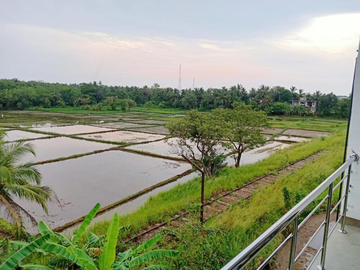 Freedom Of Green Rice View Anuradhapura Εξωτερικό φωτογραφία