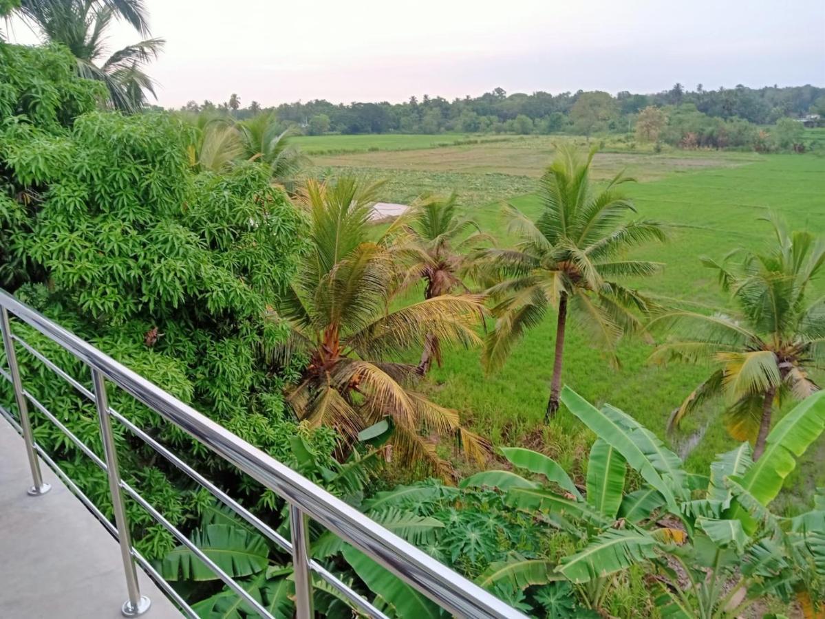 Freedom Of Green Rice View Anuradhapura Εξωτερικό φωτογραφία